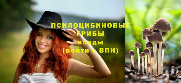 таблы Липки