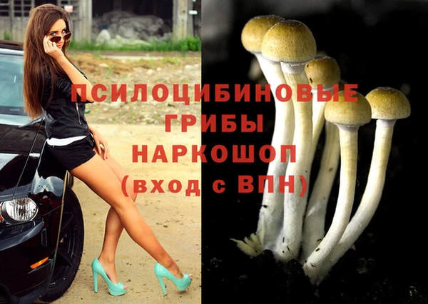 бошки Лиски