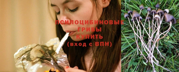 бошки Лиски